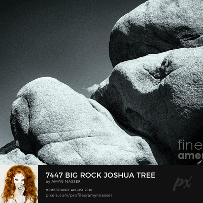 7447 Big Rock Joshua Tree California